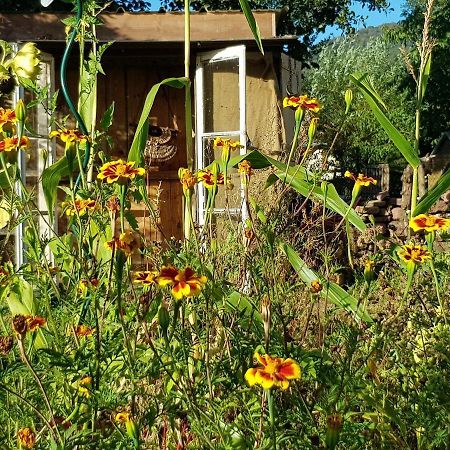 Bed and Breakfast Le Jardin Des Gouttes Rougegoutte Экстерьер фото